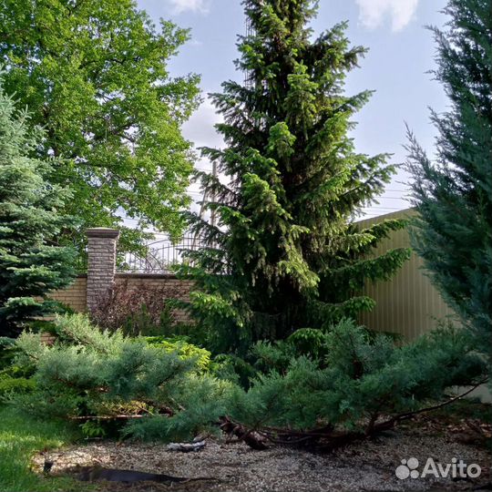 Стрижка растений