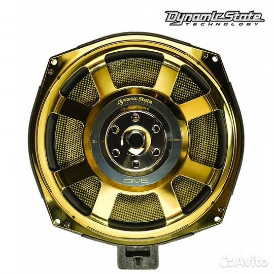 Сабвуфер Dynamic State DSW-BMW202G