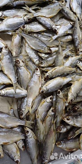 Астраханская вяленая рыбка