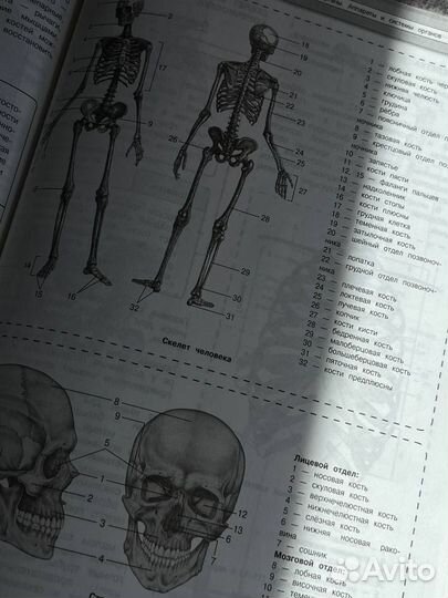 Справочник для подготовки к биологии/химии /мат