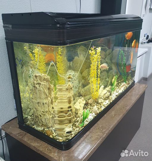 Аквариум с тумбой 300 литров