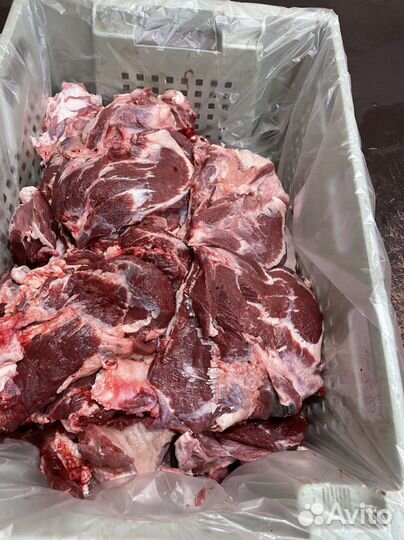 Мясо говяжьих голов