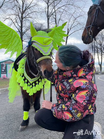 Работа с лошадьми