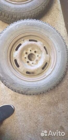 Cordiant Polar 175/70 R13