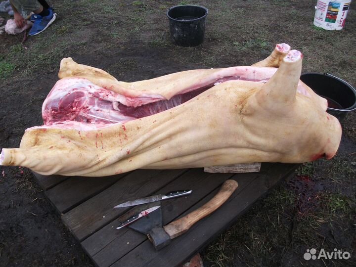 Мясо свинина домашня