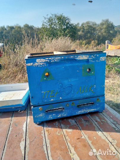 Улья. Система Медовик. Пеноулик 12-рамочные