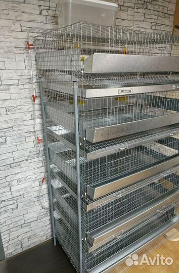 Клетка для перепелов 5 секций