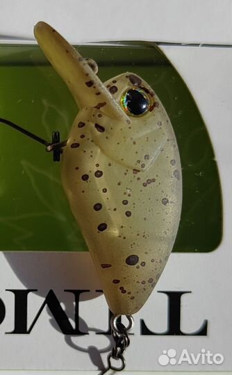 Jackall Timon Flapani-2