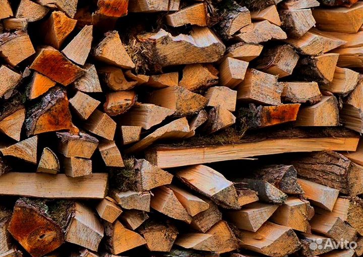 Дрова без жучков