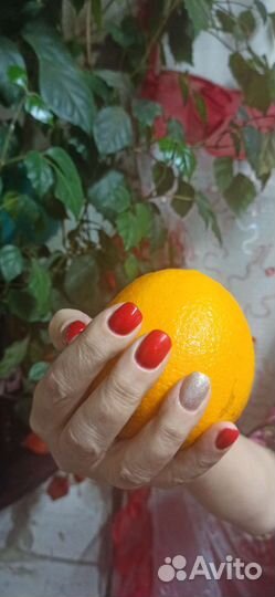 Мастер маникюра на дому наращивание