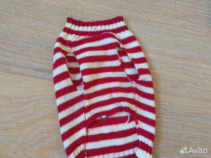 Одежда для маленьких собак