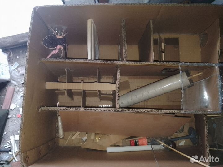 Лабиринт для хомячка