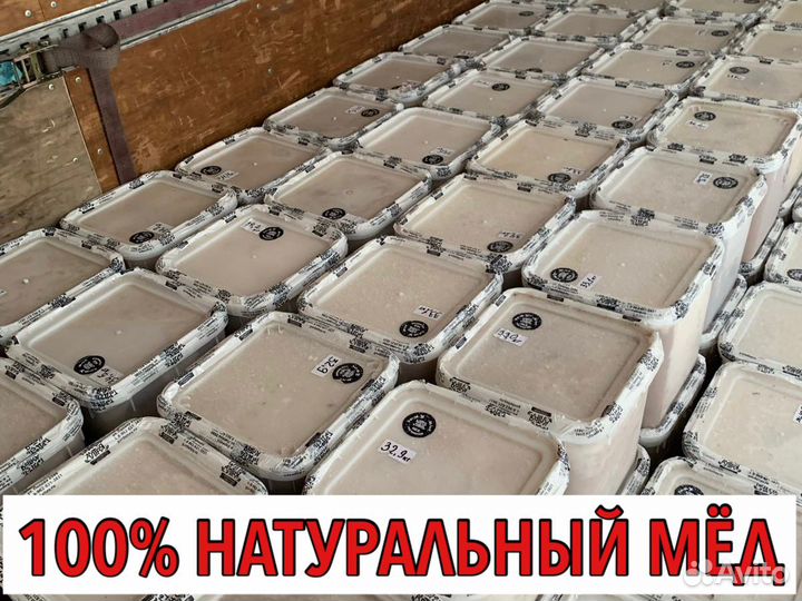 Мёд оптом с Алтая в Магнитогорск