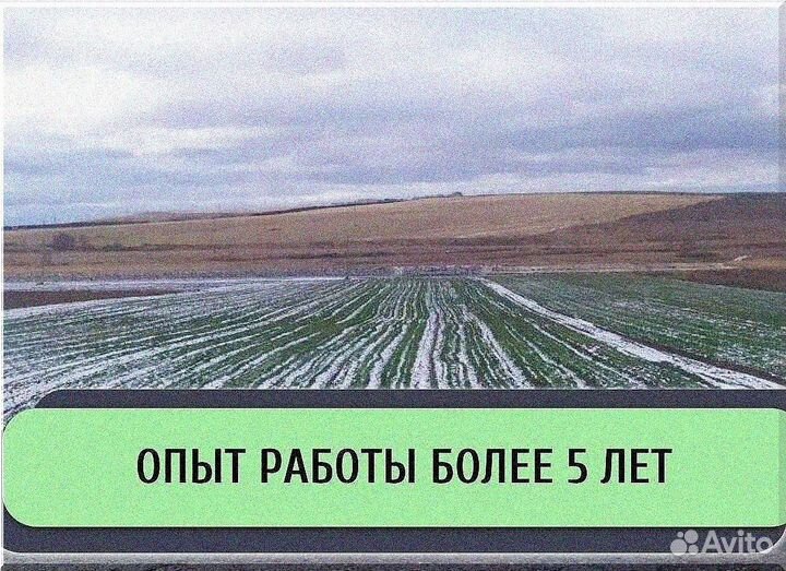 Ищу инвестора в готовый бизнес