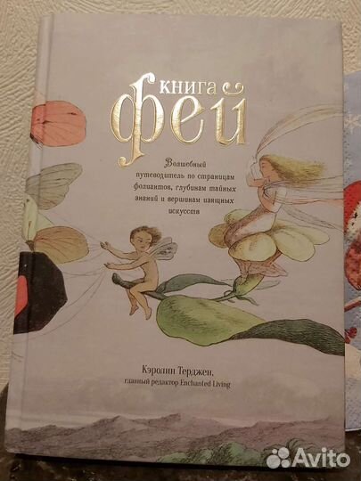 Книга Фей Кэролин Терджен