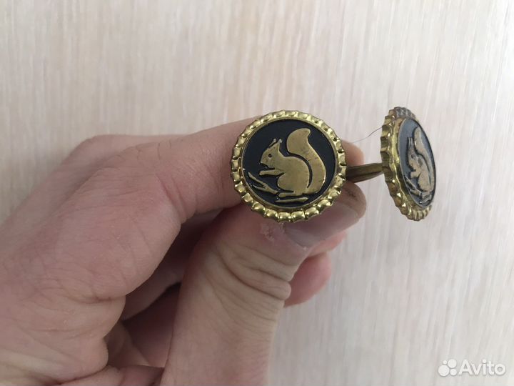 Запонки белочки