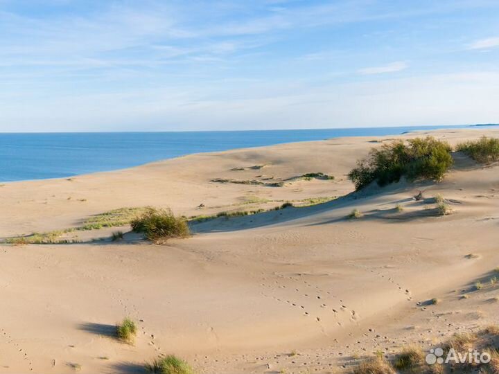 Экскурсия — Калининград — Добро пожаловать на Курш