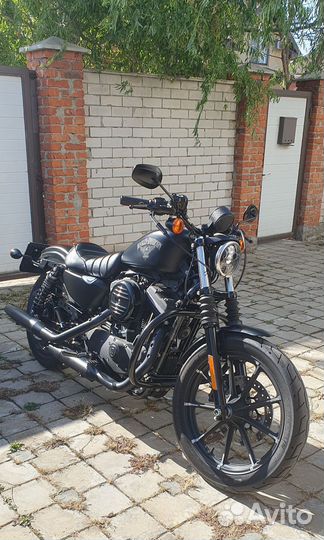 Harley davidson XL883 N sportster iron