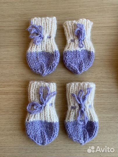 Одежда для собак