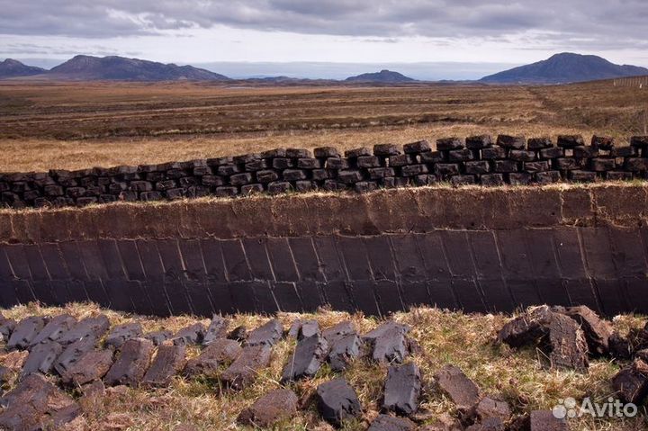 Торф верховой