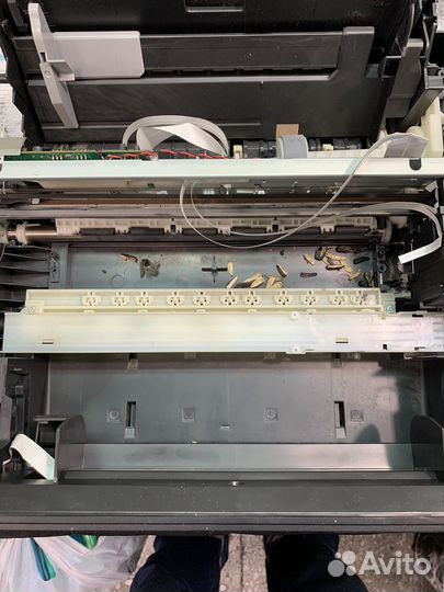 Ремонт принтеров и мфу Epson, HP, Canon
