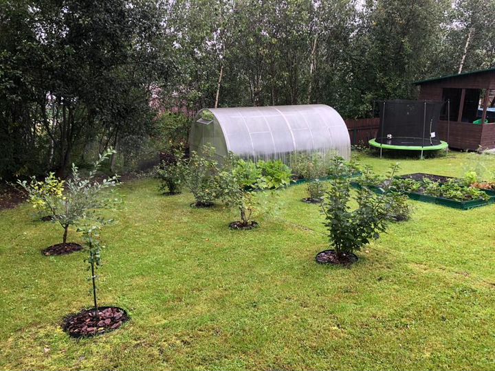 Дача 24 м² на участке 4 сот.