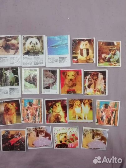 Вкладыши, этикетки от жвачек 90 х