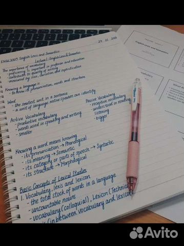 Пишу конспекты и лекции, оформление на любой вкус