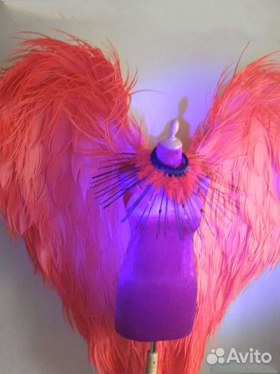 Крылья Красное сердце