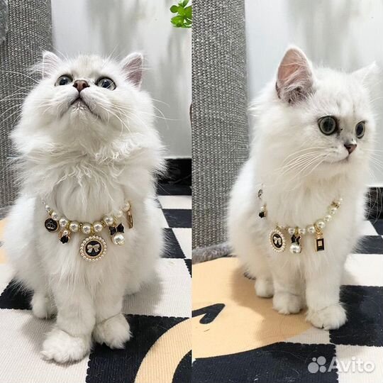 Ожерелье украшение для животных