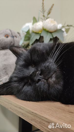 Репетитор по математике ЕГЭ ОГЭ