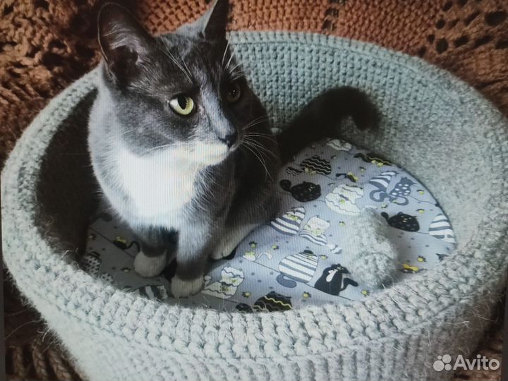 Домики, лежанки для кошек и собак