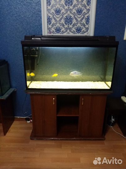 Аквариум на 220 литров