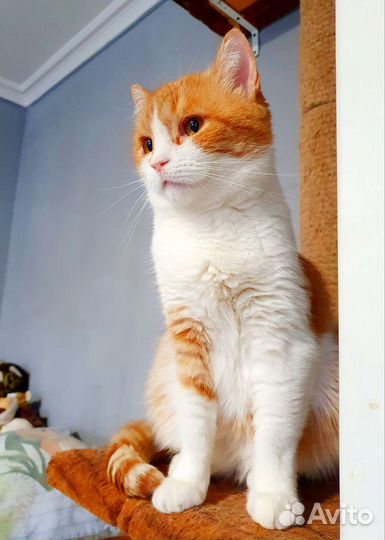 Мама не видит Веснушку,листает,листает, и не видит