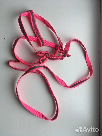 Шлейка для кошки, маленькой собаки или хорька