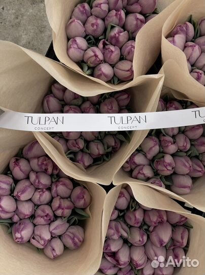 Премиум- тюльпаны оптом к 8 марта