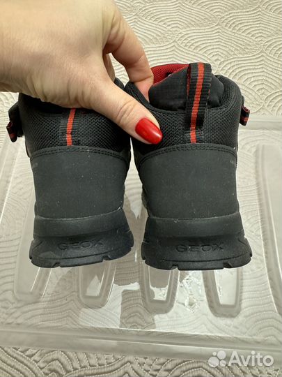 Демисезонные ботинки Geox 39