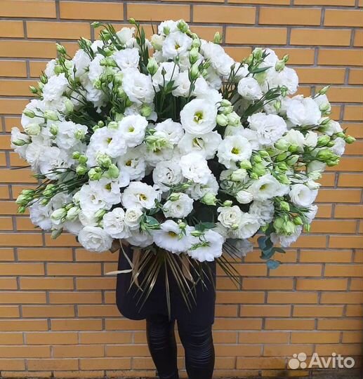 Нежные Эустомы. Цветы на Любой Повод
