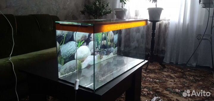 Аквариум 100л