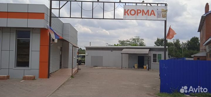 Корма ст. Смоленская