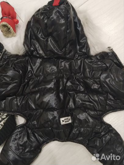 Комбинезон и другие вещи доя маленькой собаки