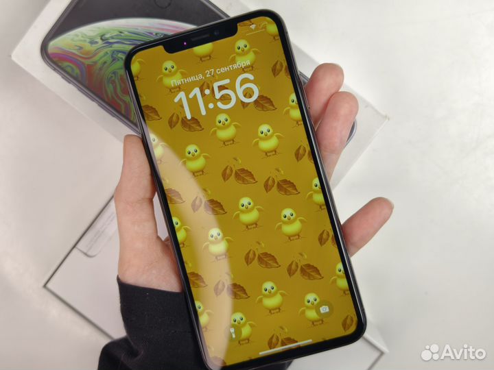 iPhone Xs Max, 512 ГБ