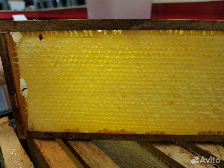 Мед в сотах