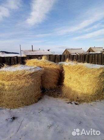 Солома в тюках
