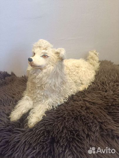 Антикварная французская пижамная собака Лу-лу Шпиц