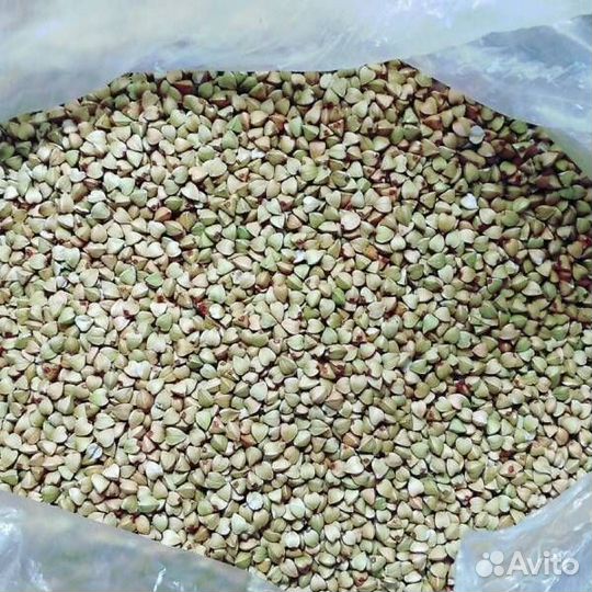 Крупа гречневая зеленая 5кг