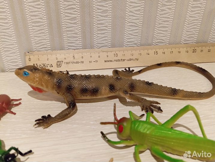 Насекомые и геккон