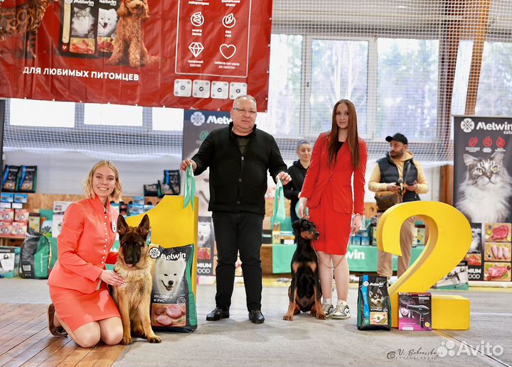 Услуги хендлера в Твери