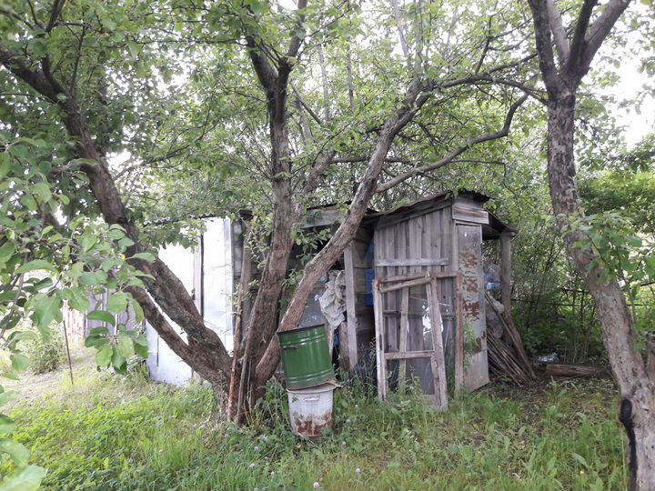 Участок 12,5 сот. (СНТ, ДНП)