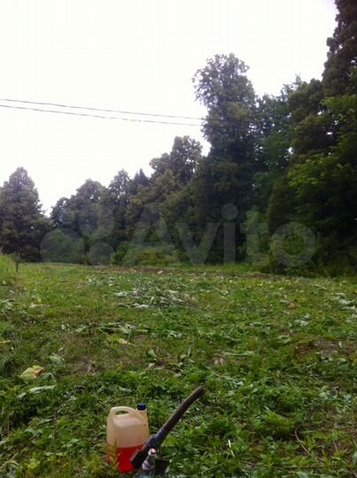 Участок 9 сот. (СНТ, ДНП)